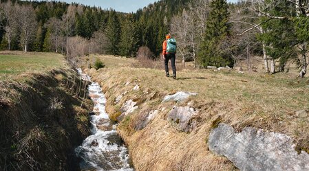Hiking around Lassing | © TV Gesäuse | Christoph Lukas