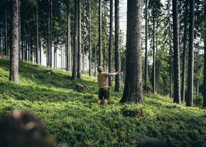 Forstverwaltung Stift Admont_c-Stefan Leitner_Gesaeuse_123 | © stefanleitner.com | Stefan Leitner