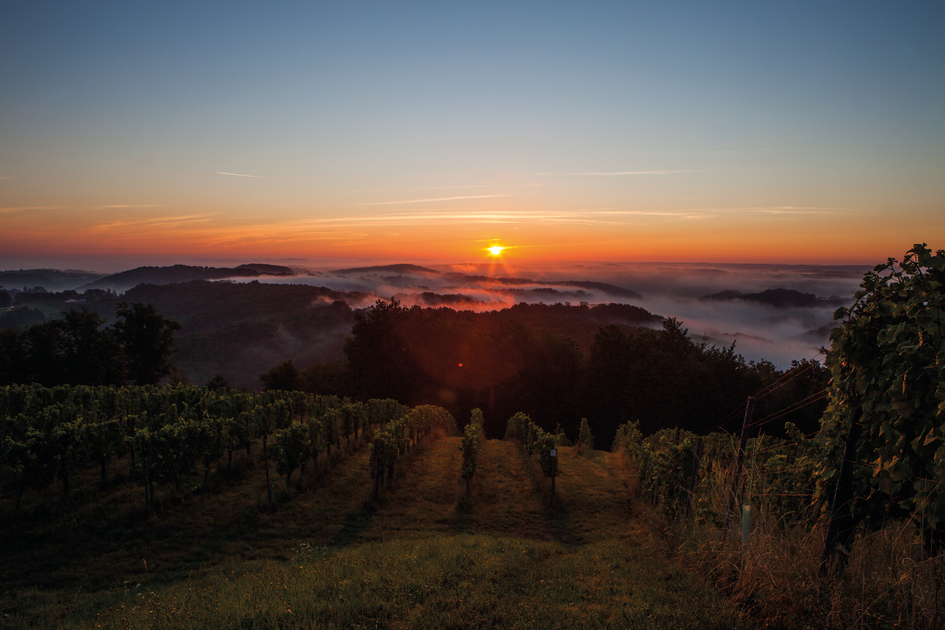 Zeugnisse der Vergangenheit - Vulkanismus in der Steiermark. | © Winzer Vulkanland I Ulrike Korntheuer
