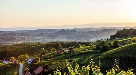 View of the landscape of the Straden wine region | © Winzer Vulkanland I Ulrike Korntheuer