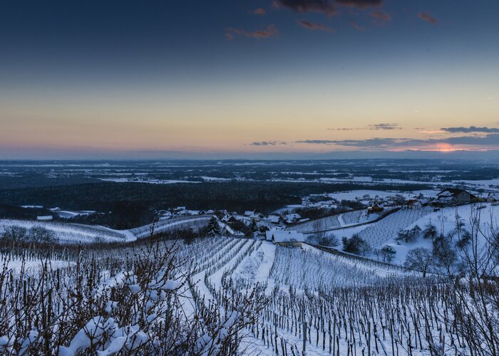 Snow covered vineyards in Bad Radkersburg | © Thermen- & Vulkanland | Pixelmaker | pixelmaker.at