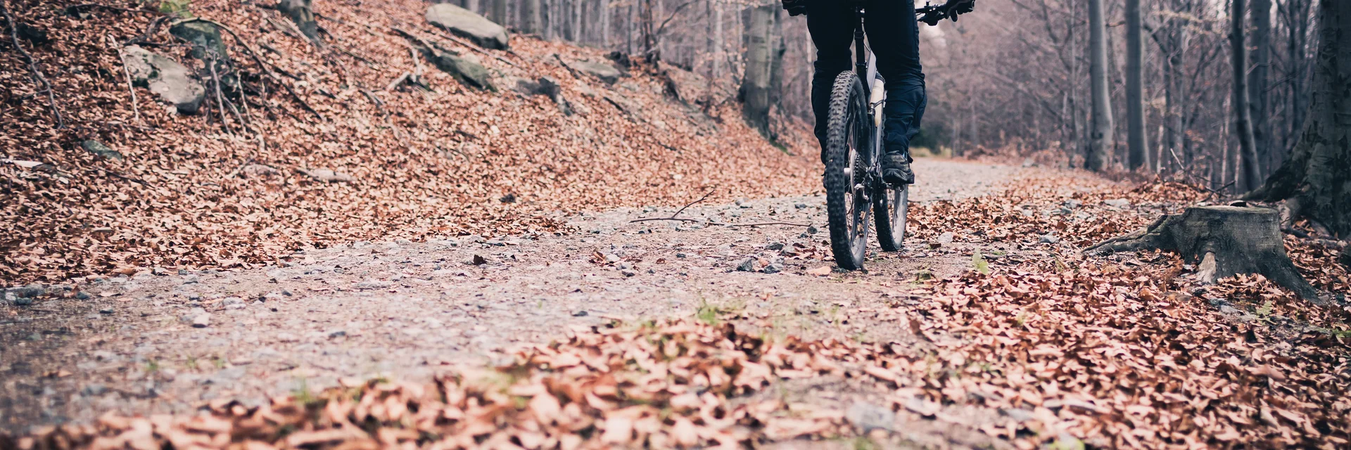 Auch bei kühleren Temperaturen steht einer Radtour in der Steiermark nichts im Weg | © iStock.com, blyjak | Blazej Lyjak