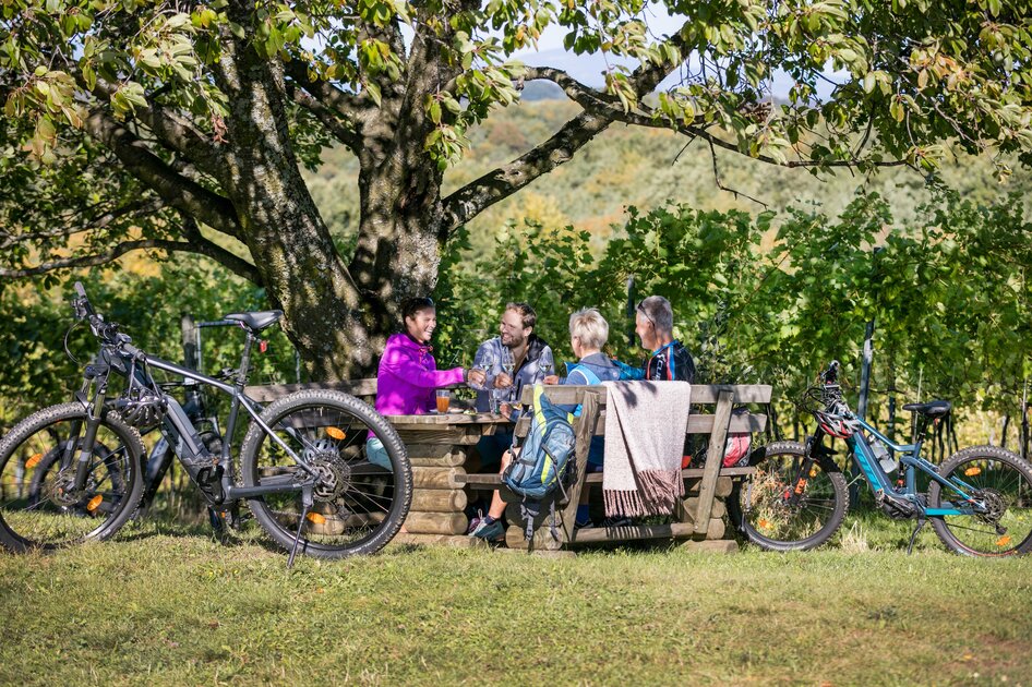 Biker rasten in den Weinbergen | © Thermen- & Vulkanland Steiermark | Harald Eisenberger Biken Radfahren Weinberge Jause Steiermark | © Thermen- & Vulkanland Steiermark | Harald Eisenberger