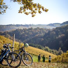 Herbstliche Weinlandschaft im Thermen- & Vulkanland Steiermark mit E-Bikes im Vordergrund und Wanderern zwischen goldgelben Weinreben mit weitem Blick über die Hügellandschaft.