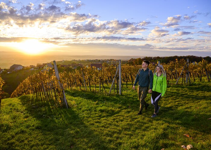 Weinwandern rund um Bad Radkersburg | © Thermen- & Vulkanland | Pixelmaker | Robert Sommerauer