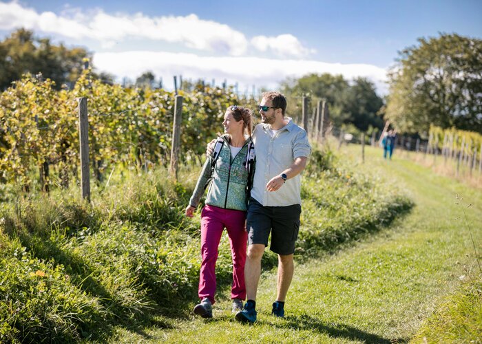 Wein-Wandern  | © Thermen- & Vulkanland | Harald Eisenberger