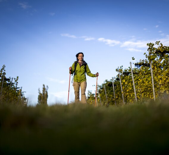 Wandern im Weinland | © Steirische Tourismus und Standortmarketing GmbH - STG | Tom Lamm