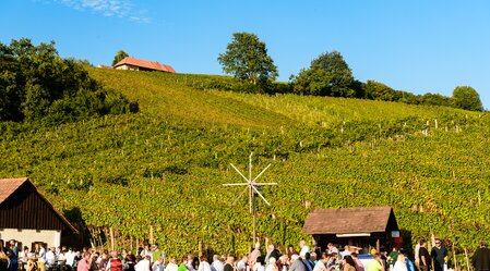 Wine festivals in Styrian autumn | © Thermen- & Vulkanland | Robert Sommerauer I Pixelmaker