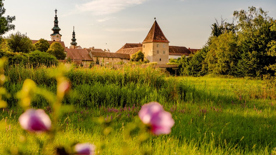 Historische Altstadt von Bad Radkersburg in der Südoststeiermark mit Stadtturm und Kirchtürmen, umgeben von grünen Wiesen und sommerlicher Natur.