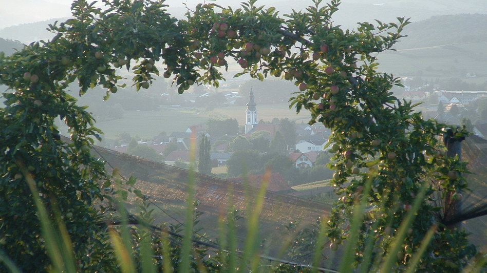Aussichtspunkt mit Apfelbogen am Obsthof Haas in Gnas | © Marktgemeinde Gnas