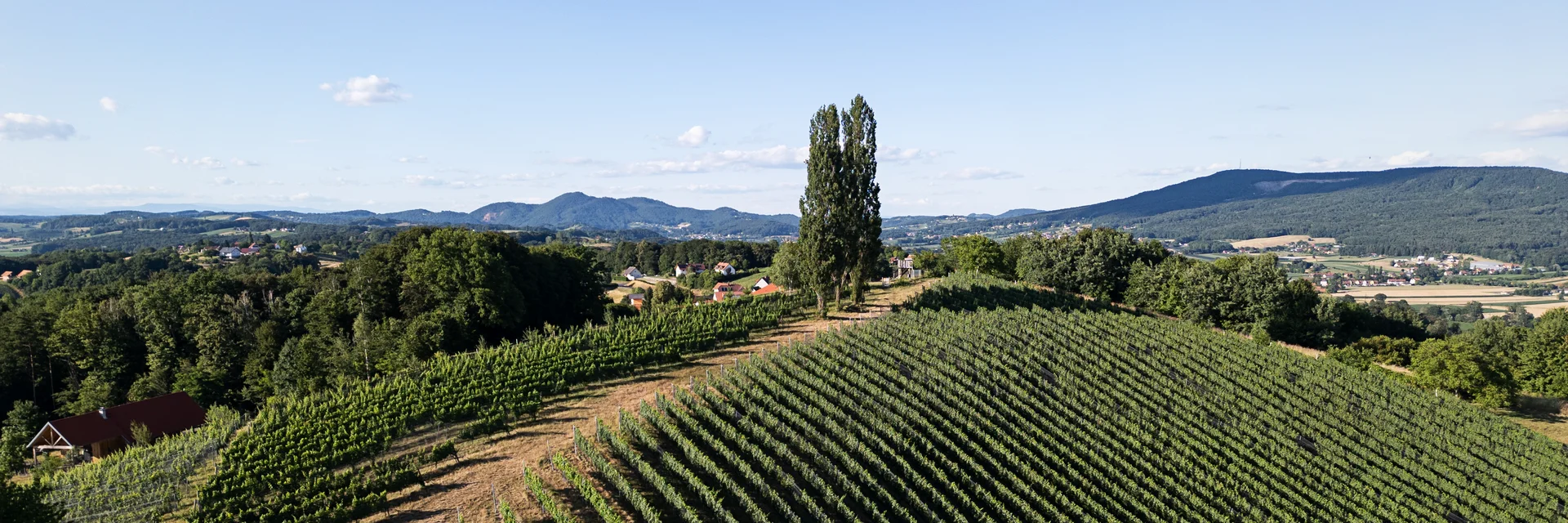 Weinsommer im Thermen- & Vulkanland | © Thermen- & Vulkanland | Carletto Photography