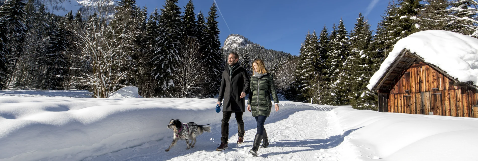 Winterspaziergang mit Hund im Ausseerland, zur Blaa-Alm | © Steiermark Tourismus / ikarus.cc | Tom Lamm