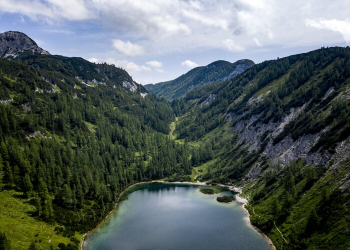 © Tom Lamm | ikarus.cc | Tom Lamm