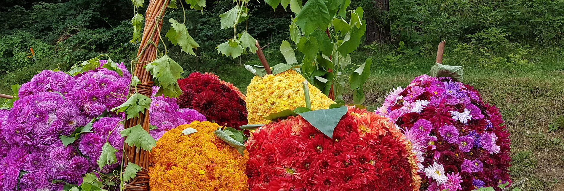 Package"Die Oststeiermark blüht auf" - Blumenkorso 2025 in Vorau - 2 oder 3 Nächte mit/ohne Frühstück bei einem oststeirischen Gastgeber Ihrer Wahl