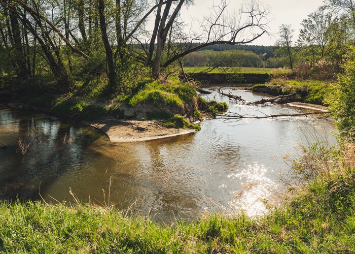 Europaschutzgebiet Lafnitzauen in der Oststeiermark | © TV Oststeiermark | Bernhard Bergmann
