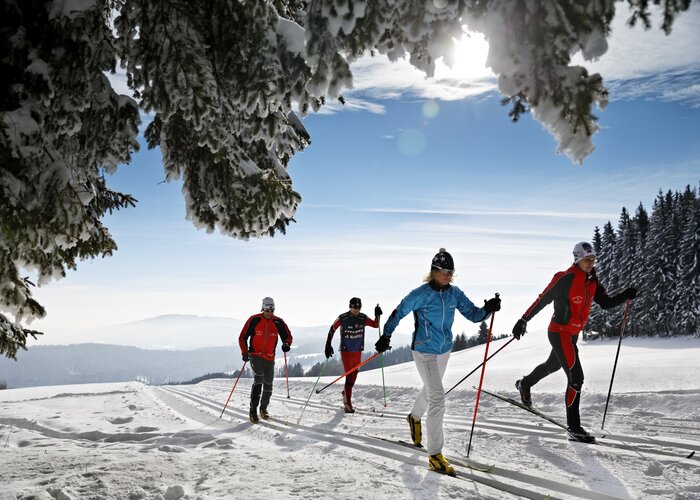 Cross country skiing in Eastern Styria in a beautiful winter landscape | © 
Oststeiermark Tourismus | Bernhard Bergmann