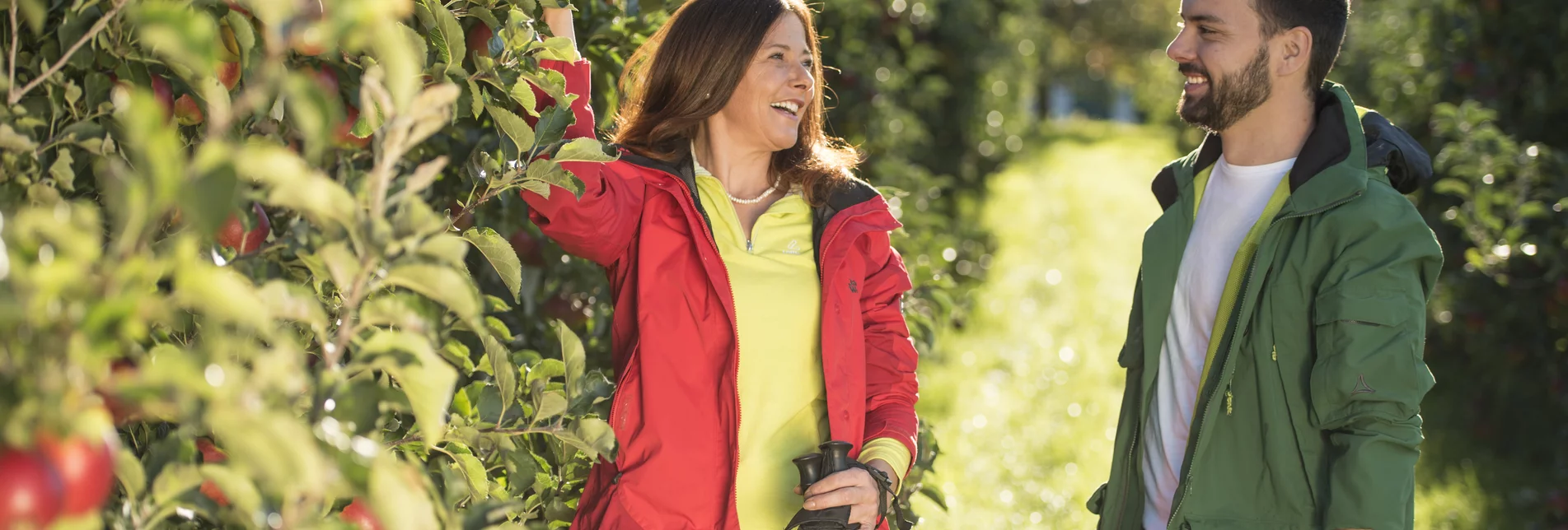 Hiking through the apple orchards in Eastern Styria | Bernhard Bergmann | © TV Oststeiermark / Bernhard Bergmann