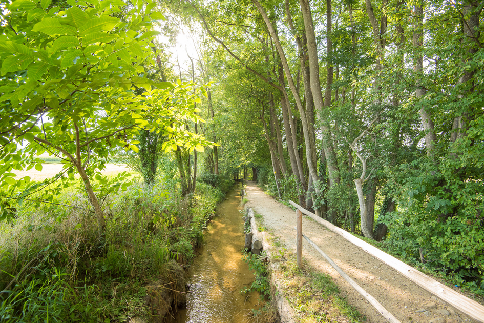 Barrier-free hiking in Hinterbrühl in Eastern Styria | © TV Oststeiermark | Helmut Schweighofer