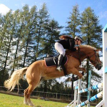 Show jumping at Leitner in Eastern Styria | © TV Oststeiermark | Das Leitner
