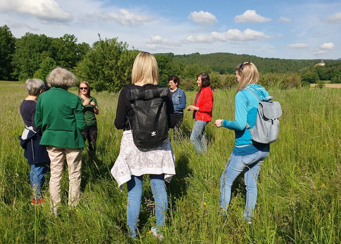  Herb hike with herbalist Julia | © 
Oststeiermark Tourismus | Anja Reichenbäck