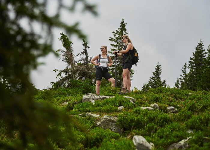 Wandern auf den Hochwechsel in der Oststeiermark | ©  Oststeiermark Tourismus | Markus Lang-Bichl