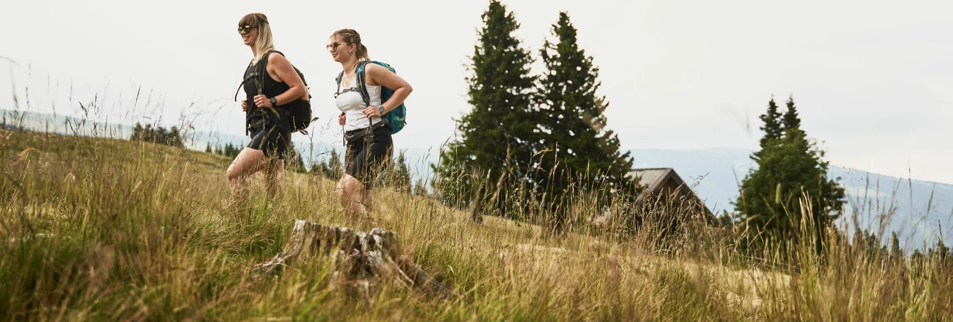 Wandern auf den Hochwechsel in der Oststeiermark | ©  Oststeiermark Tourismus | Markus Lang-Bichl