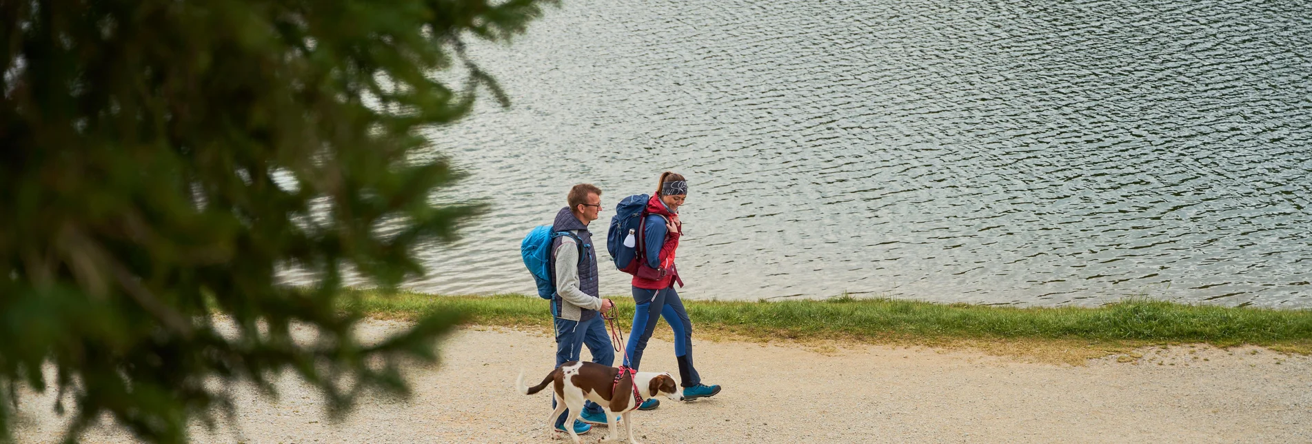 Wandern mit Hund im Almenland  | ©  Oststeiermark Tourismus | Markus Lang-Bichl