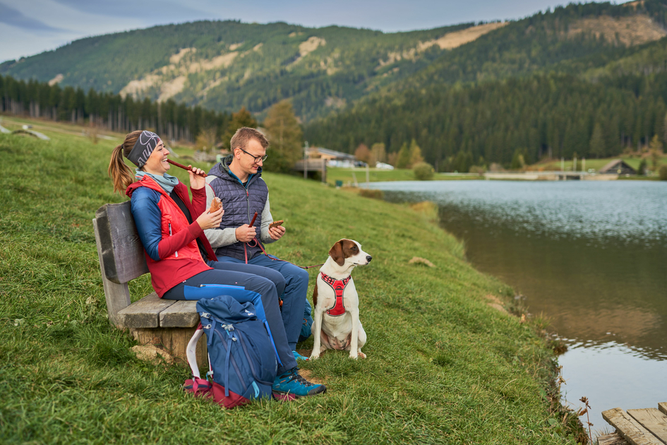 Hiking with a dog in the Almenland  | ©  Oststeiermark Tourismus | Markus Lang-Bichl