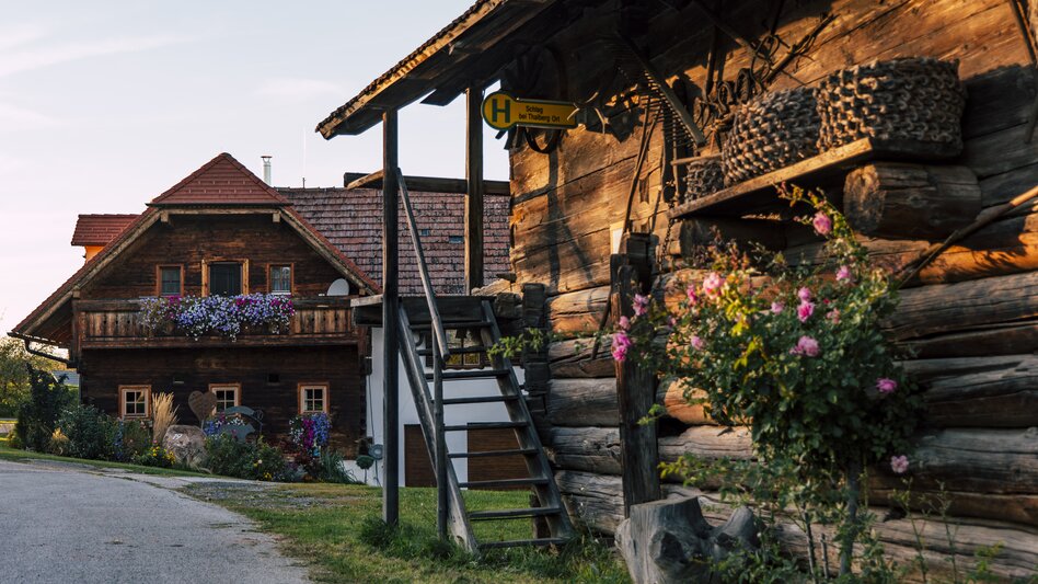 Schlag bei Thalberg in Dechantskirchen in der Oststeiermark