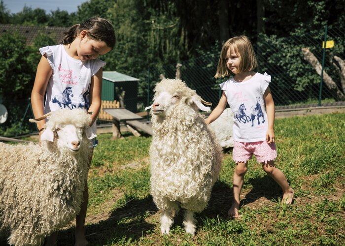 Children stroke sheep in Styria | ©  Oststeiermark Tourismus | Bernhard Bergmann