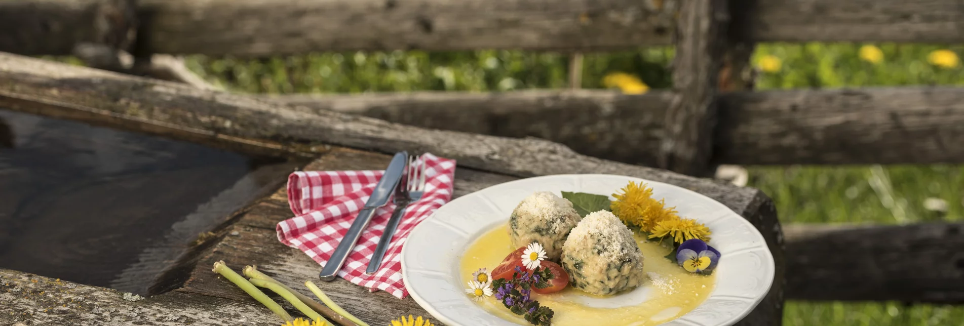 Löwenzahn Knödel im Almenland in der Oststeiermark | © TV Oststeiermark | Bernhard Bergmann