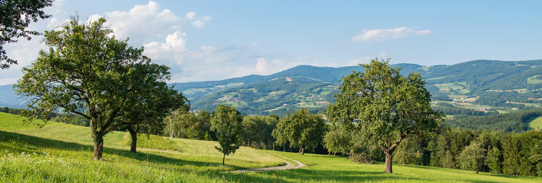 Naturpark Landschaft im Pöllauer Tal | © TV Oststeiermark | Helmut Schweighofer Naturpark Landschaft im Pöllauer Tal | © TV Oststeiermark | Helmut Schweighofer