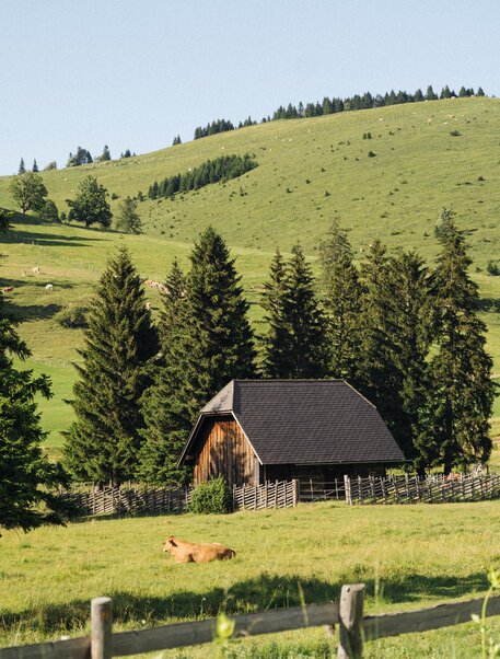 Almlandschaft mit Hütte