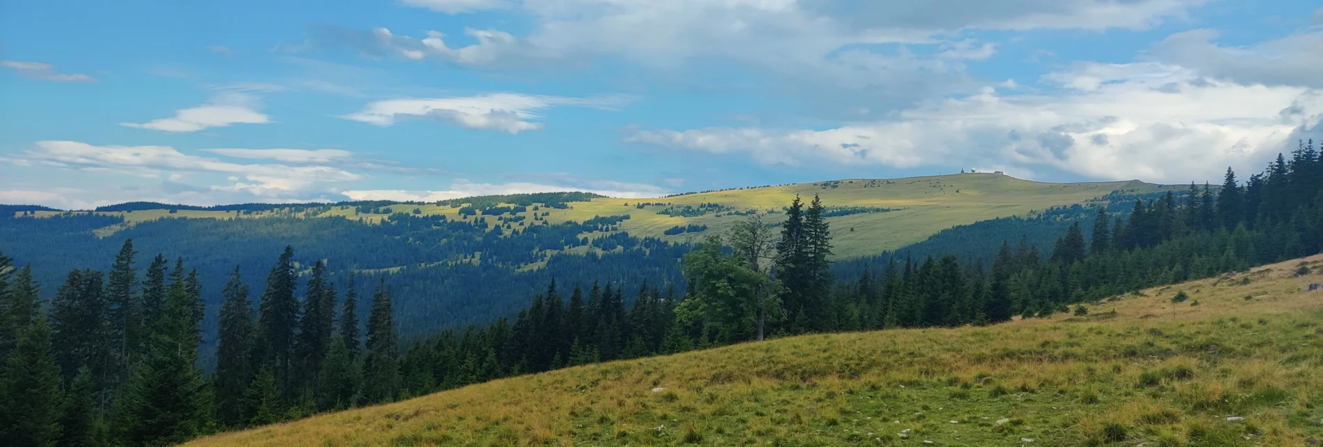Auf der Alm mit Blick auf den Hochwechsel | © TV Oststeiermark | Nicole Friesenbichler Auf der Alm mit Blick auf den Hochwechsel | © TV Oststeiermark | Nicole Friesenbichler