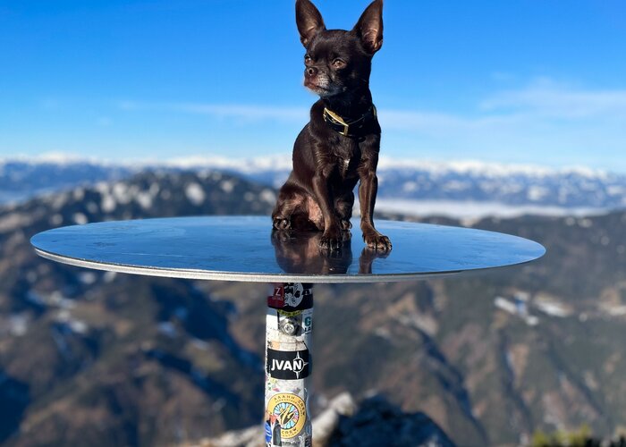 Hiking with a dog on the Hochlantsch | © Oststeiermark Tourismus
