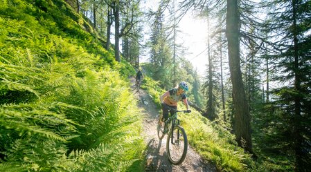 Reiteralm Trails | © TV Schladming-Dachstein | Christoph Oberschneider | © Schladming-Dachstein / Christoph Oberschneider