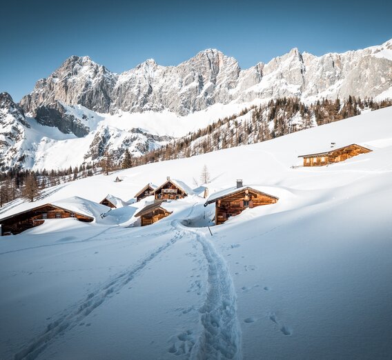 Neustattalm | © Schladming-Dachstein / Mathäus Gartner | © Schladming-Dachstein / Mathäus Gartner