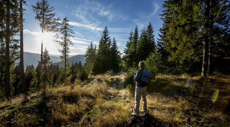 Wandertour: Vom Gletscher zum Wein (bei xxx)  | © Steiermark Tourismus | ikarus.cc