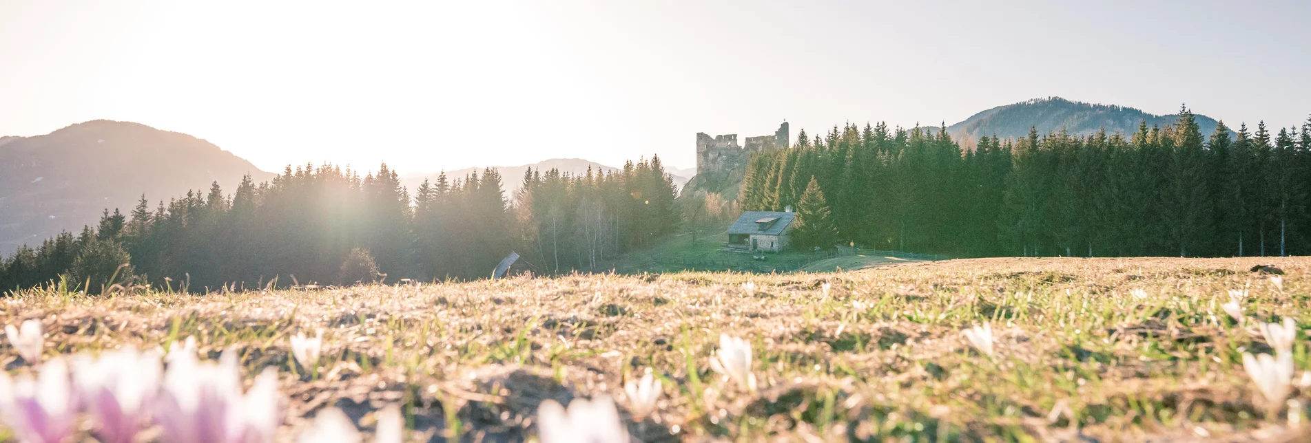 Steinschloss Frühjahr | © Rene Hochegger | TVB Murau