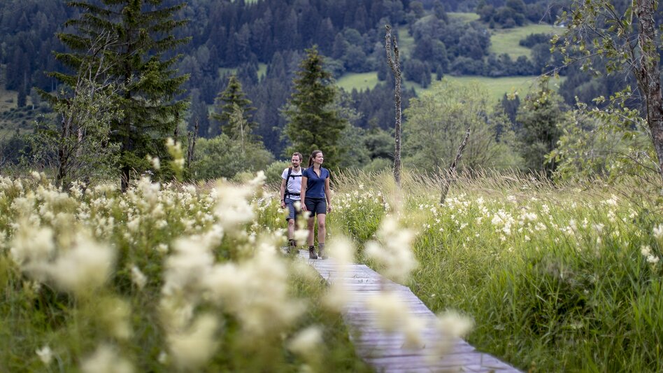 Wanderung am Holzsteg durch das Hörfeld Moor