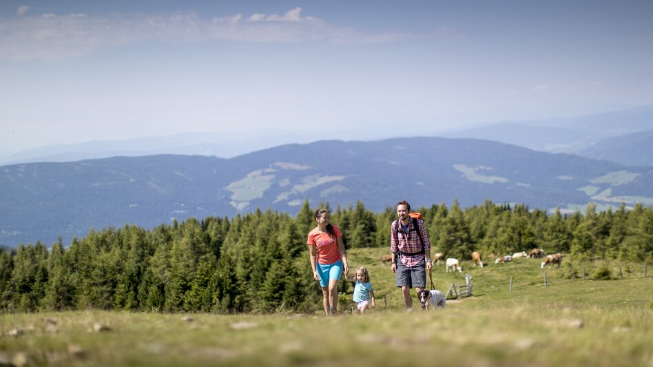 Wanderung mit Kind und Hund am Zirbitzkogel mit Kühen im Hintergrund