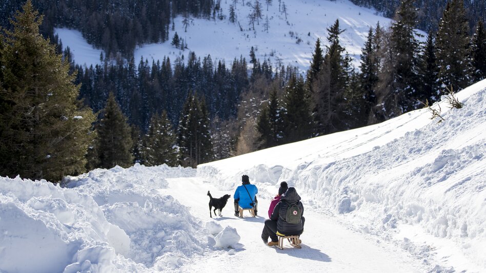 Rodeln mit Hund im Lachtal