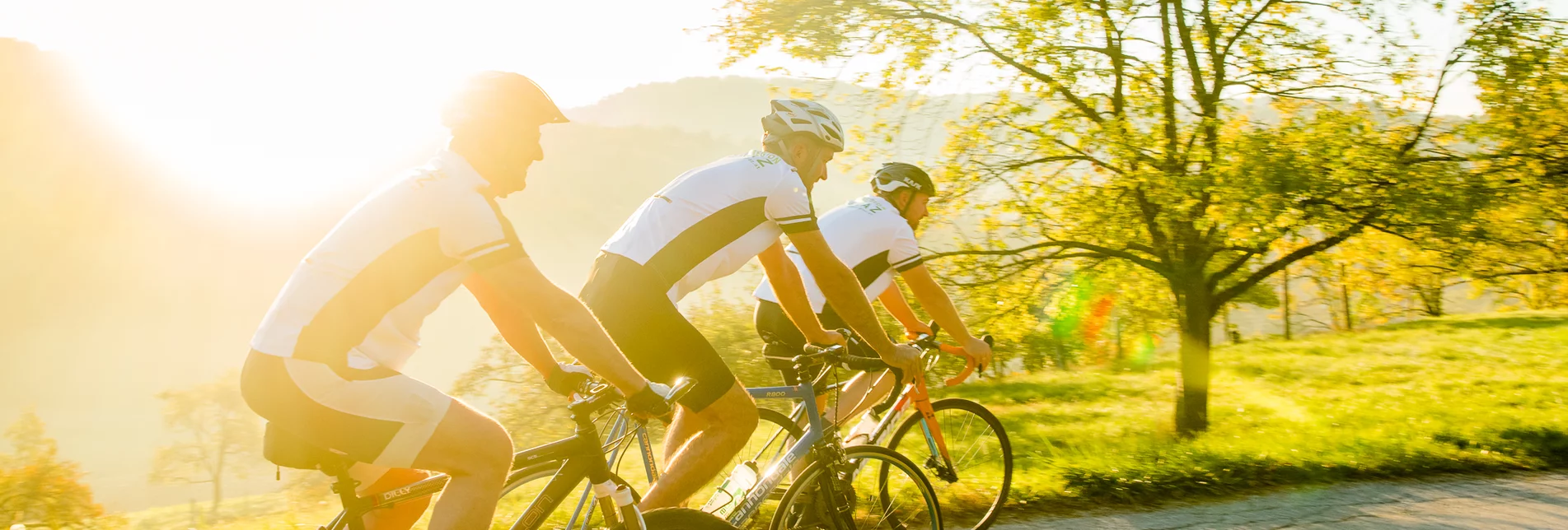 Biking in Autumn | © TV Erlebnisregion Graz | Mias Photoart