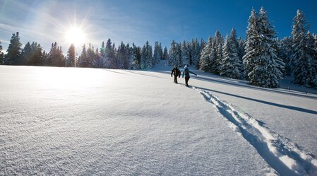 Schneeschuhwandern | © TV Region Graz | Tom Lamm