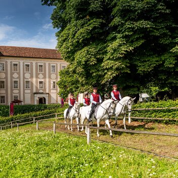 Lipizzanergestüt Piber | © Lipizzanerheimat | Die Abbilderei