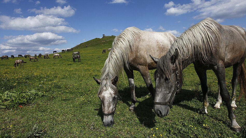 Maria Lankowitz - Impression #2.3