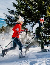 Schneeschuhwandern in der Erlebnisregion Graz