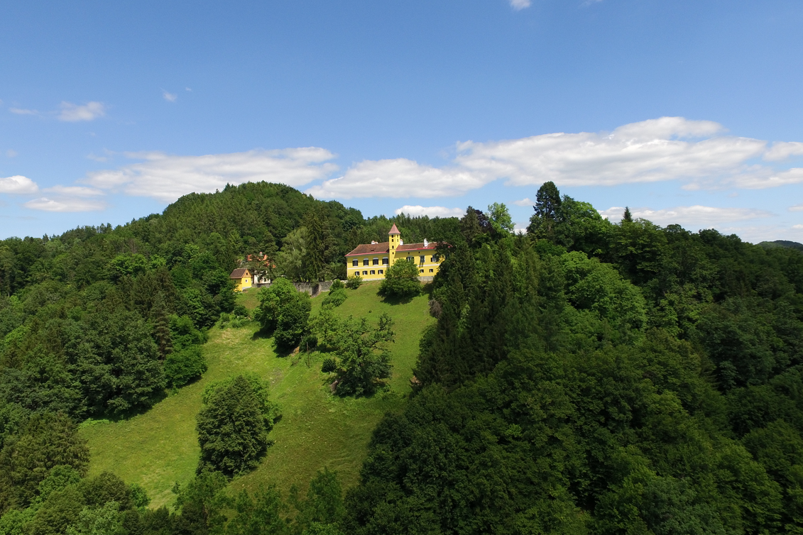 Blick auf das Schloss Arnfels