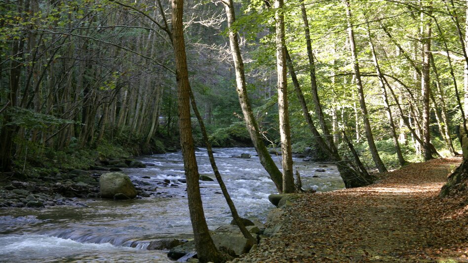 Herbstwanderung entlang der Schwarzen Sulm im Gebiet Bad Schwanberg