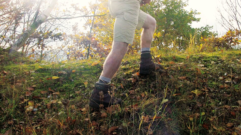 Wandern in Bad Schwanberg